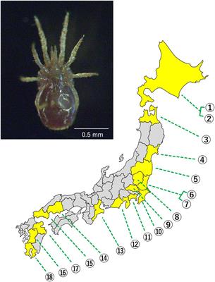 Genetic variations and microbiome of the poultry red mite Dermanyssus gallinae